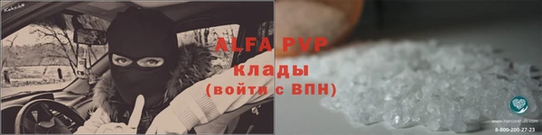 стафф Аркадак