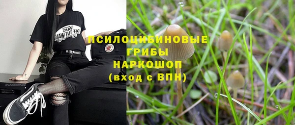 стафф Аркадак